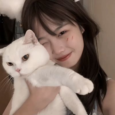放置三国青春版下载